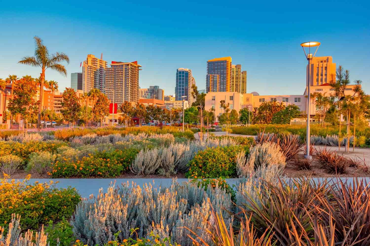 San Diego, CA picture of park